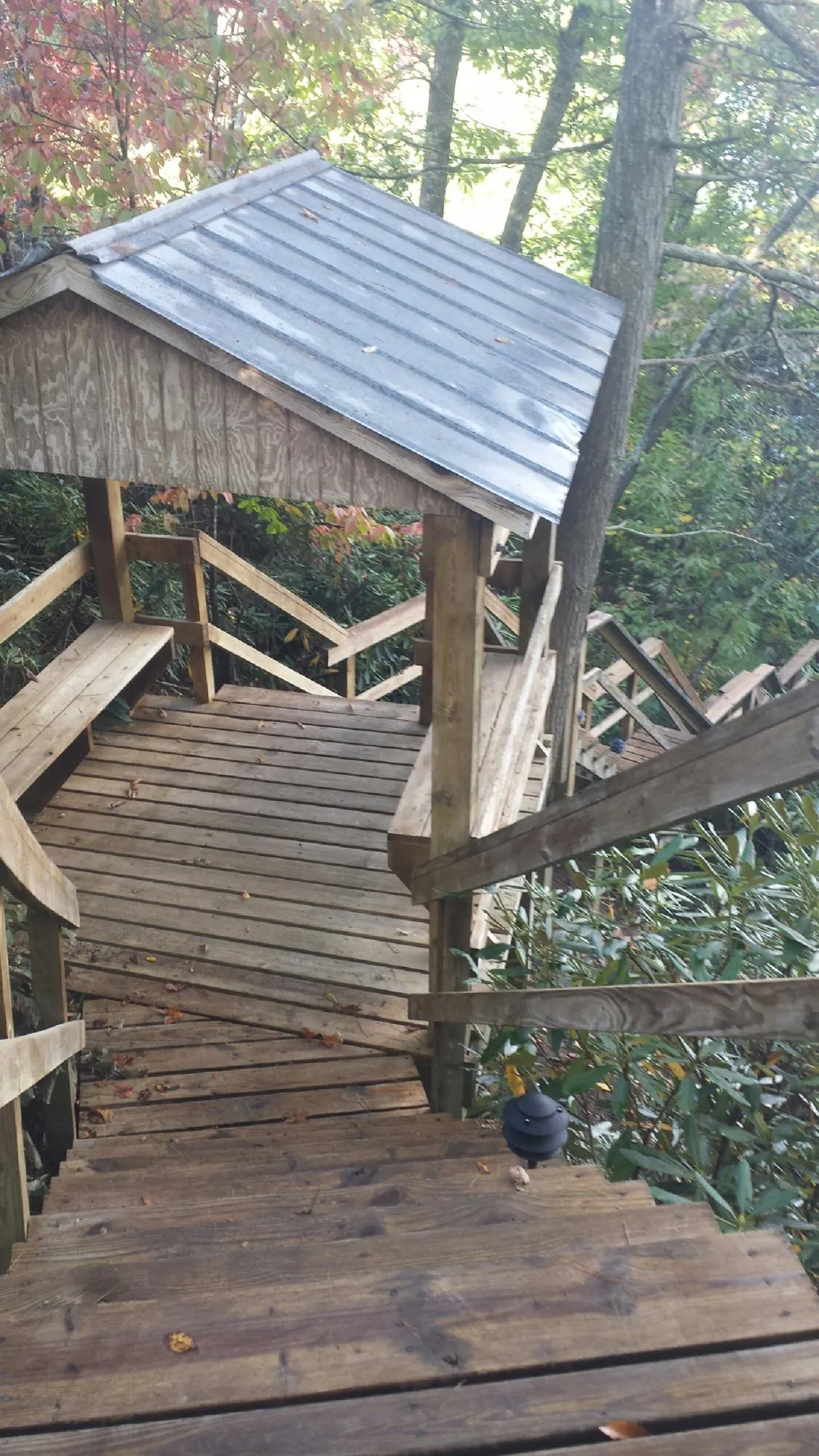 Metal roofed shelter over wooden steps on a wooded walkway — Skylight Repair & Installation work by our crew in Powell Butte